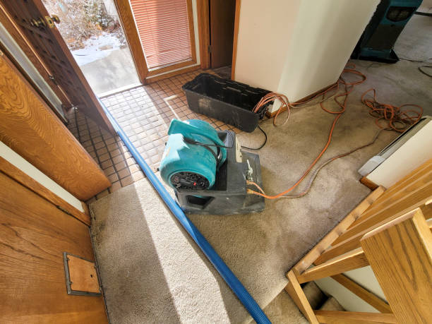 Best Flood damage cleanup  in Fairview Ferndale, PA