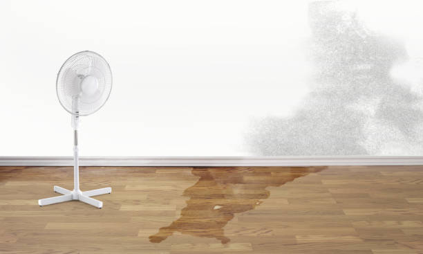 Best Water damage restoration near me  in Fairview Ferndale, PA