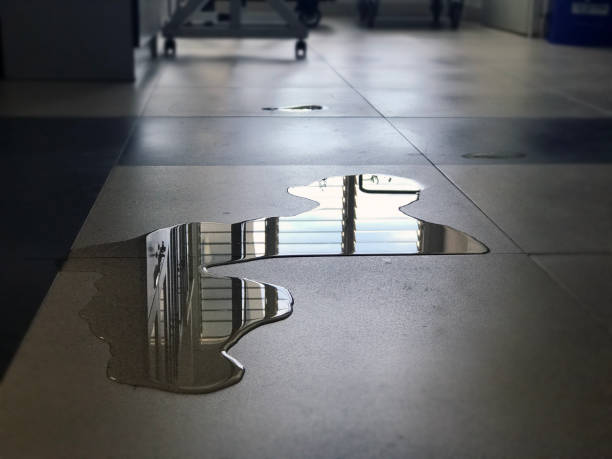 Best Water damage restoration company  in Fairview Ferndale, PA