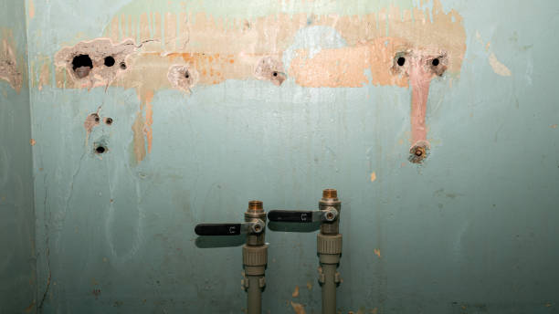 Best Flooded house restoration  in Fairview Ferndale, PA