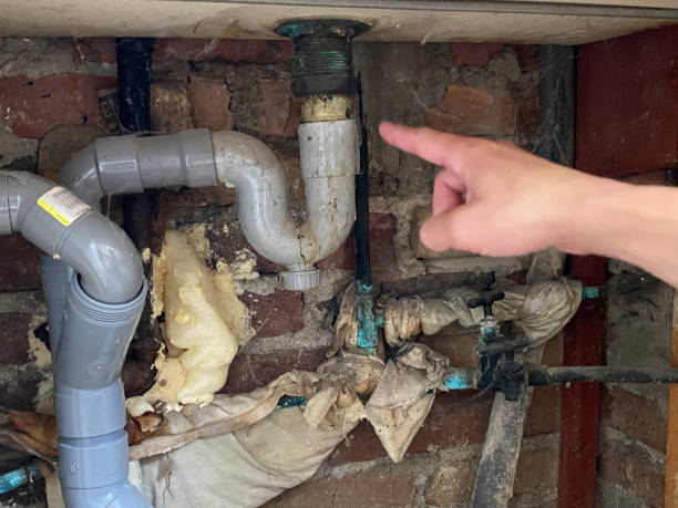 Best Sewage cleanup and water damage restoration  in Fairview Ferndale, PA